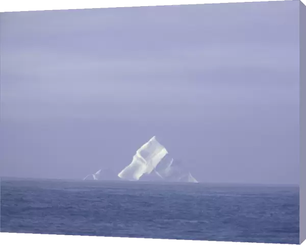 South Georgia, iceberg at sea, sunrise, autumn