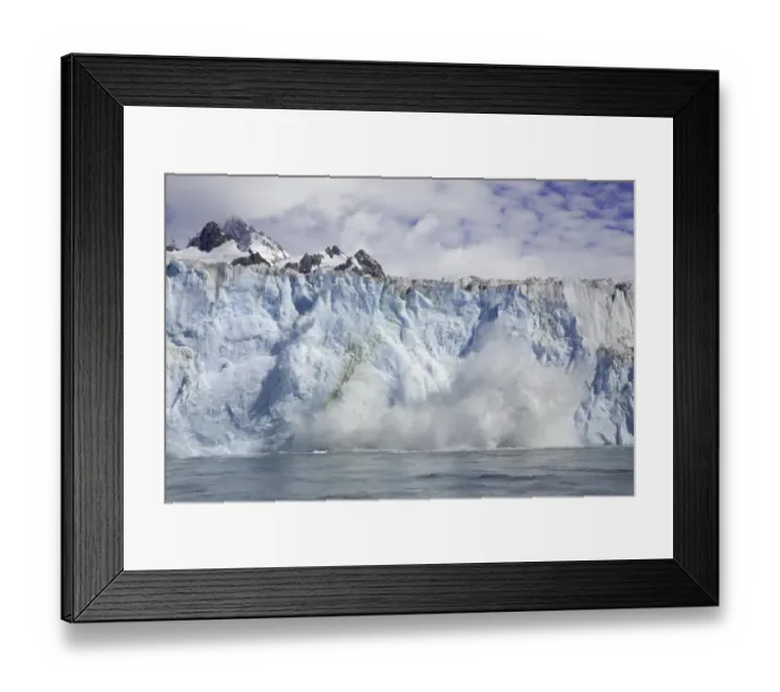 Framed Print : South Georgia, Salvesen Range, Twitcher Glacier calving Framed Print : South Georgia, Salvesen Range, Twitcher Glacier calving