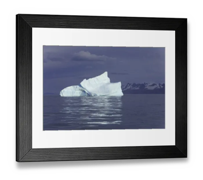 Framed Print : South Georgia, iceberg and coastal mountains, autumn morning Framed Print : South Georgia, iceberg and coastal mountains, autumn morning