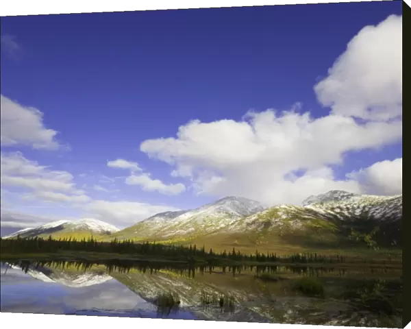 USA, Alaska, cumulus clouds over Brooks Range and tundra pond