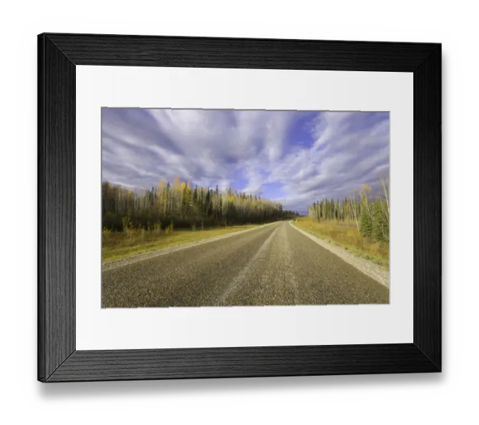 Framed Print : Canada, British Columbia, quaking aspen trees beside highway, autumn Framed Print : Canada, British Columbia, quaking aspen trees beside highway, autumn