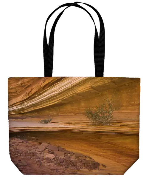 USA, Arizona, Vermilion Cliffs Wilderness, Navajo sandstone