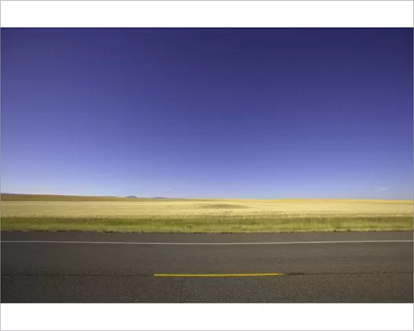 USA, Montana, wheatfield beside highway, summer