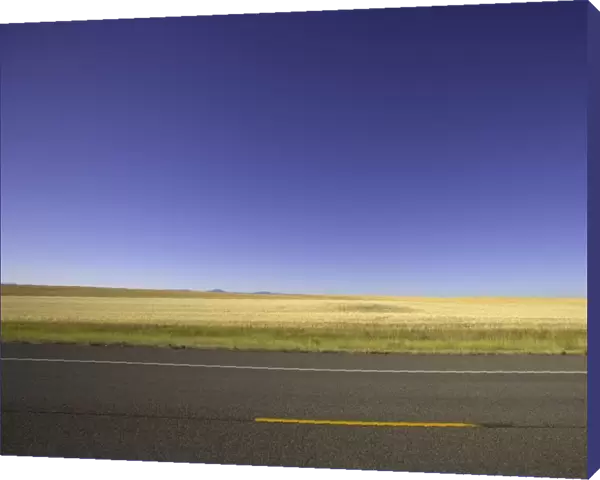 USA, Montana, wheatfield beside highway, summer