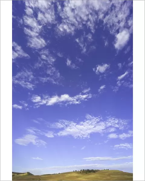 USA, South Dakota, Custer State Park, cumulus clouds over grassland