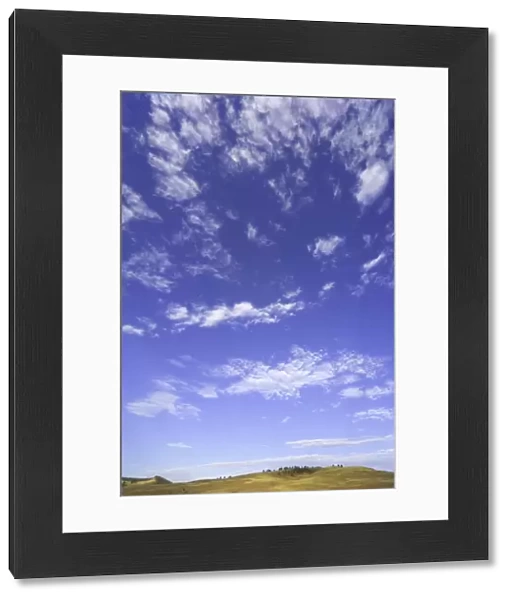 USA, South Dakota, Custer State Park, cumulus clouds over grassland
