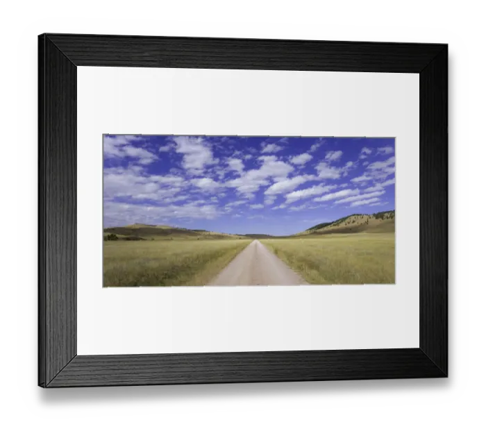 Framed Print : USA, South Dakota, Wind Cave National Park, dirt road across grassland Framed Print : USA, South Dakota, Wind Cave National Park, dirt road across grassland