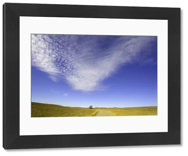 USA, central Nebraska, clouds above gravel ranch road and grassland