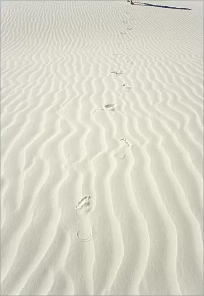 Mature man leaving footprints on white gypsum sand dune, low section