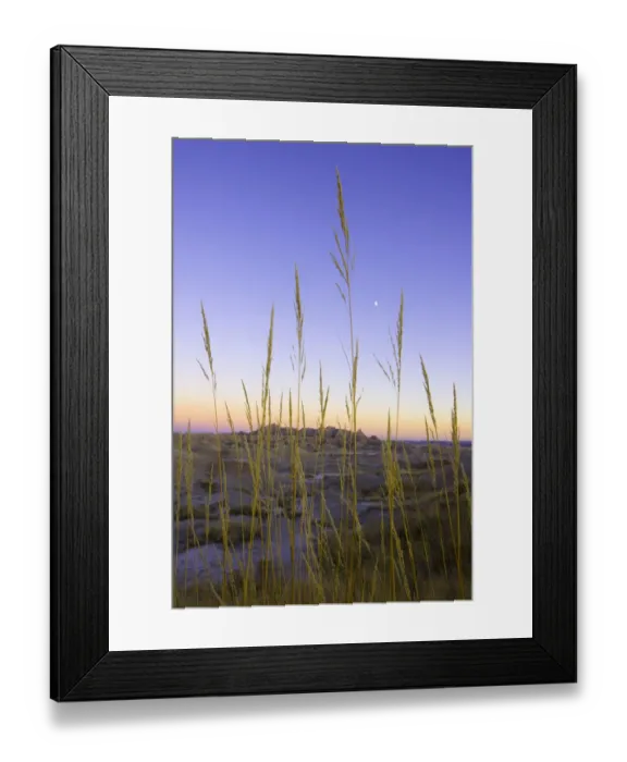 Framed Print : Desert grass against sandstone formations, dusk, autumn Framed Print : Desert grass against sandstone formations, dusk, autumn