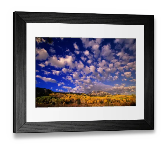 Framed Print : USA, Colorado, East Beckwith Mountain and aspen trees, autumn