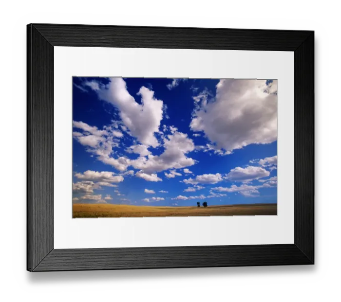 Framed Print : USA, Wyoming, cumulus clouds over 2 cottonwood trees on prairie Framed Print : USA, Wyoming, cumulus clouds over 2 cottonwood trees on prairie
