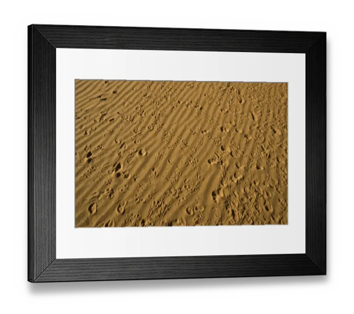 Framed Print : Small animal tracks in red sand, Arizona Framed Print : Small animal tracks in red sand, Arizona