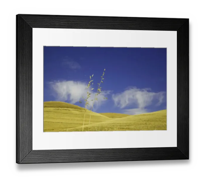 Framed Print : Harvested wheat field, Palouse Hills, WA Framed Print : Harvested wheat field, Palouse Hills, WA