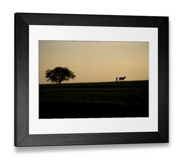 Framed Print : Poland, Roztocze, silhouette of farmer plowing field, sunset