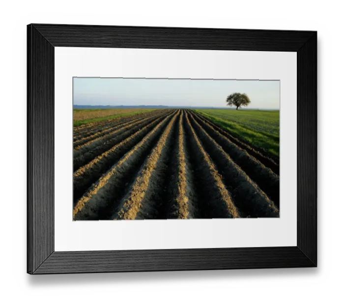 Framed Print : Poland, Roztocze, plowed field Framed Print : Poland, Roztocze, plowed field