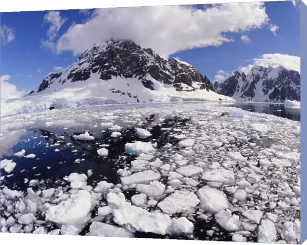 Ice chunks floating on surface of water