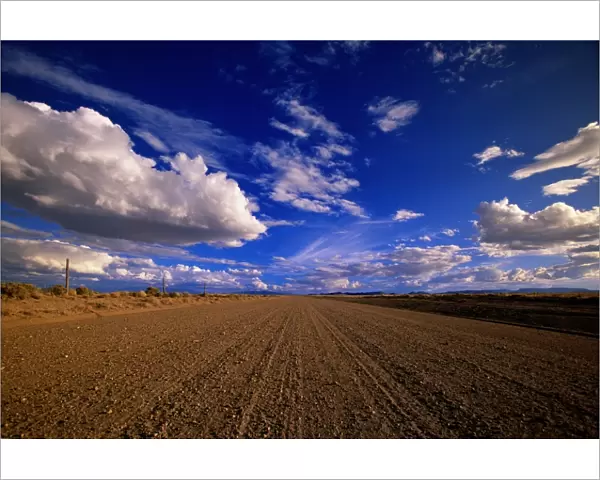 USA, Colorado, cumulus clouds over country gravel road in summer