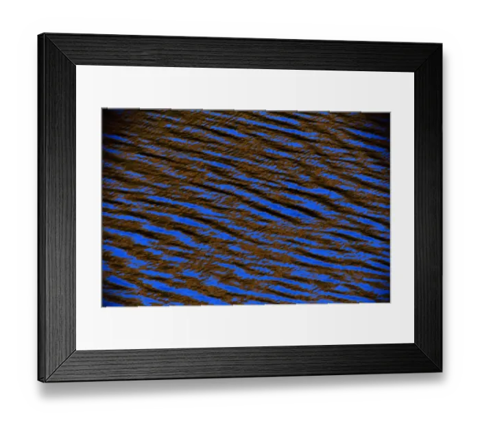 Framed Print : British Columbia, Canada. Evening. Pine Tree Lake, Reflections in water Framed Print : British Columbia, Canada. Evening. Pine Tree Lake, Reflections in water