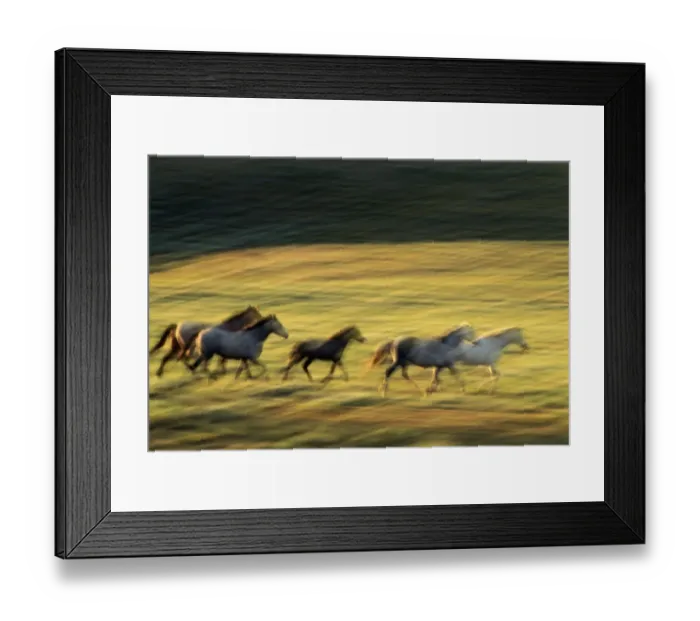 Framed Print : USA, Wyoming, Red Desert, horses galloping (blurred motion) Framed Print : USA, Wyoming, Red Desert, horses galloping (blurred motion)