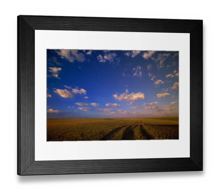 Framed Print : Cumulus clouds above grazing range Framed Print : Cumulus clouds above grazing range