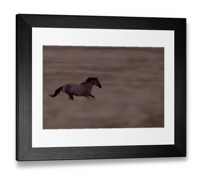 Framed Print : Near South Steen Mountain. Mustangs are feral horses of Mexico and the western America Framed Print : Near South Steen Mountain. Mustangs are feral horses of Mexico and the western America