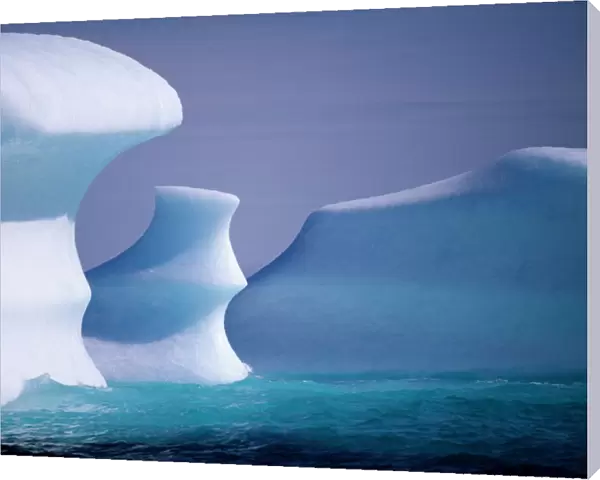 Icebergs are floating South in Labrador current, Northern Labrador