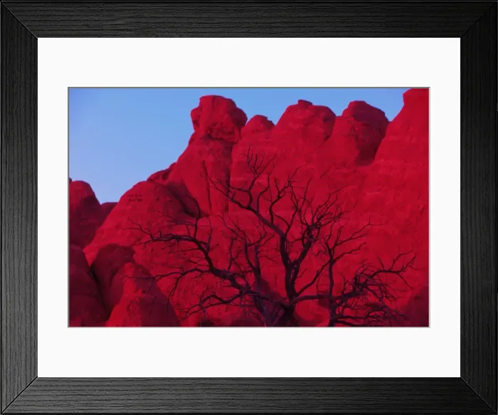 Framed Print : Arches National Park, Autumn, Skyline Arch, Special Effects Filter, Utah, (Juniperus Framed Print : Arches National Park, Autumn, Skyline Arch, Special Effects Filter, Utah, (Juniperus
