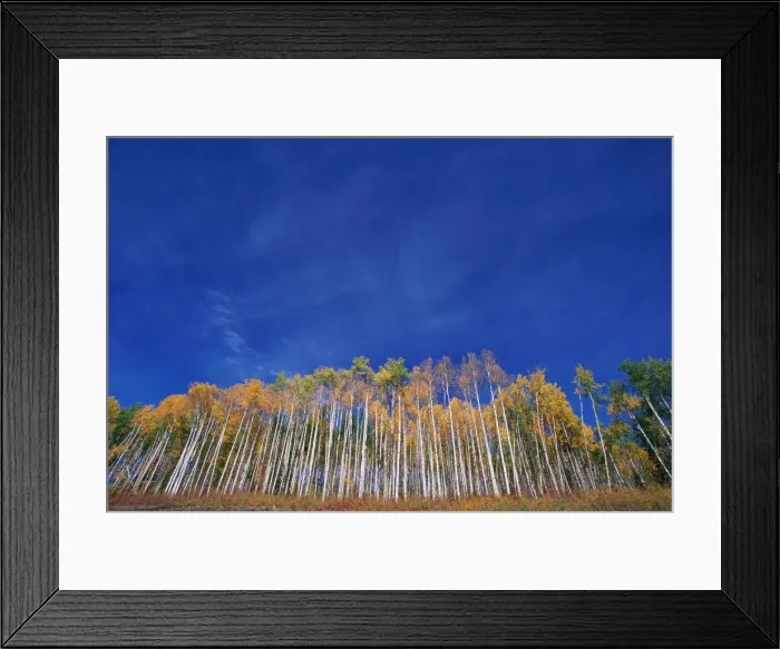 Framed Print : British Columbia, near Alaska Highway, Canada Framed Print : British Columbia, near Alaska Highway, Canada