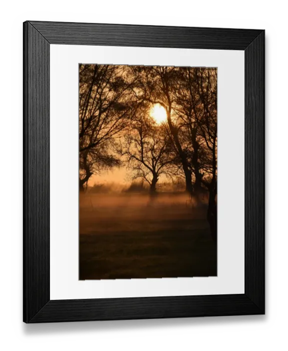 Framed Print : Beautiful sunset between the trees Framed Print : Beautiful sunset between the trees