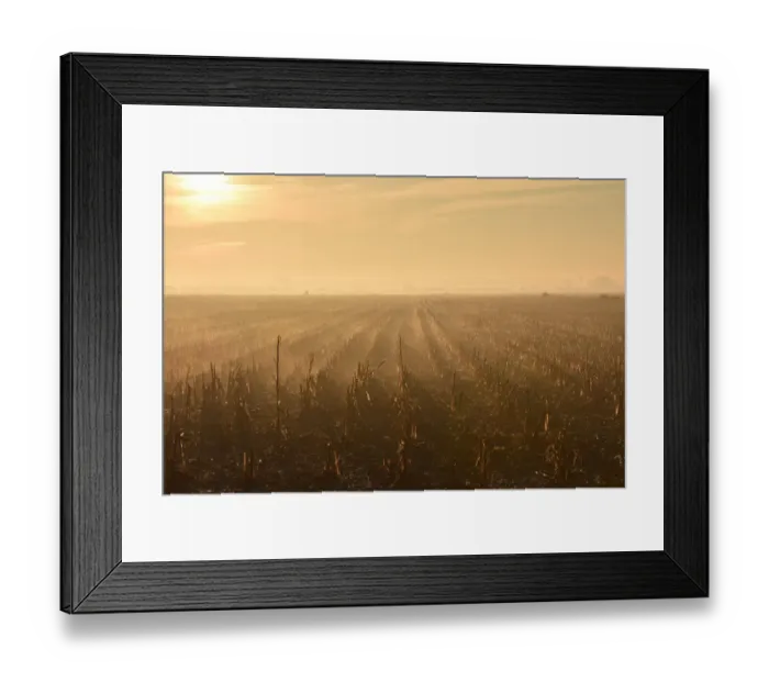 Framed Print : lanscape, alone (negative emotion - loneliness), haze (water form - fog), branches Framed Print : lanscape, alone (negative emotion - loneliness), haze (water form - fog), branches