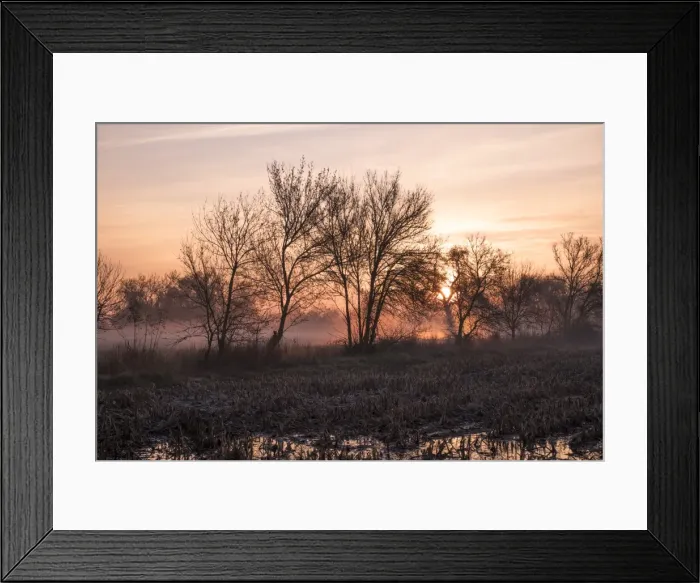 Framed Print : lanscape, alone (negative emotion - loneliness), haze (water form - fog), branches, trees Framed Print : lanscape, alone (negative emotion - loneliness), haze (water form - fog), branches, trees