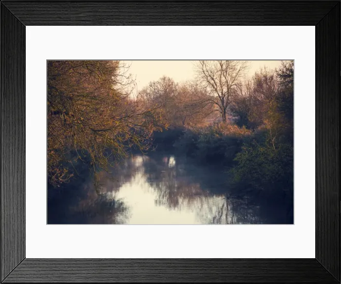 Framed Print : lanscape, alone (negative emotion - loneliness), haze (water form - fog), branches Framed Print : lanscape, alone (negative emotion - loneliness), haze (water form - fog), branches