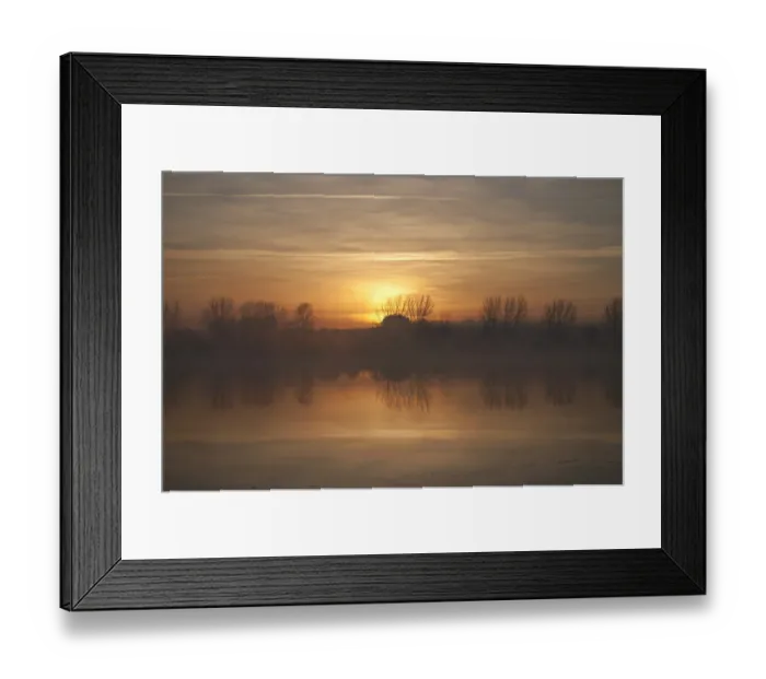 Framed Print : lanscape, alone (negative emotion - loneliness), haze (water form - fog), branches Framed Print : lanscape, alone (negative emotion - loneliness), haze (water form - fog), branches