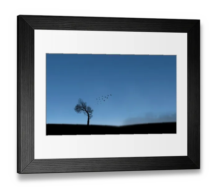 Framed Print : Jockeys Ridge State Park, Outer Banks, North Carolina, USA Framed Print : Jockeys Ridge State Park, Outer Banks, North Carolina, USA