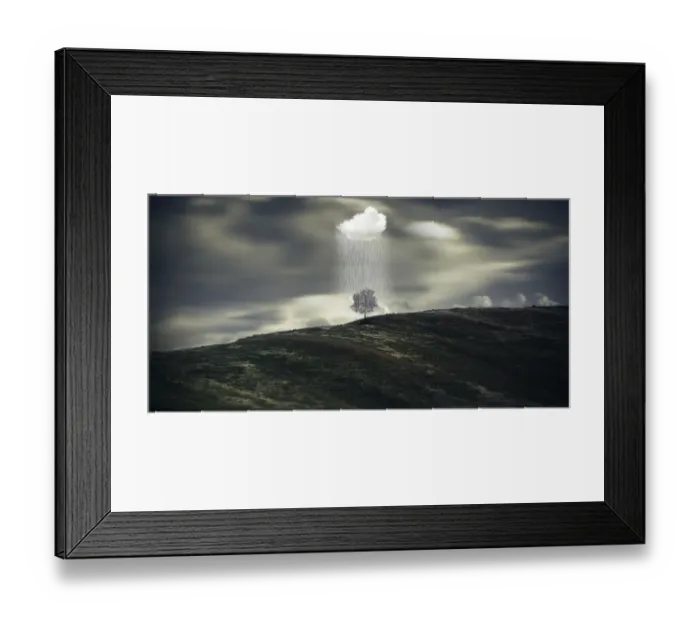 Framed Print : Raining in one tree, imagination landscape Framed Print : Raining in one tree, imagination landscape