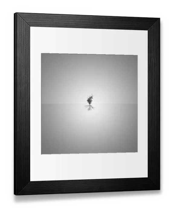 Framed Print : Minimalism tree reflection Framed Print : Minimalism tree reflection
