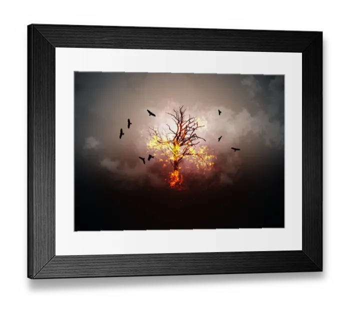 Framed Print : Creative burning tree with flying birds