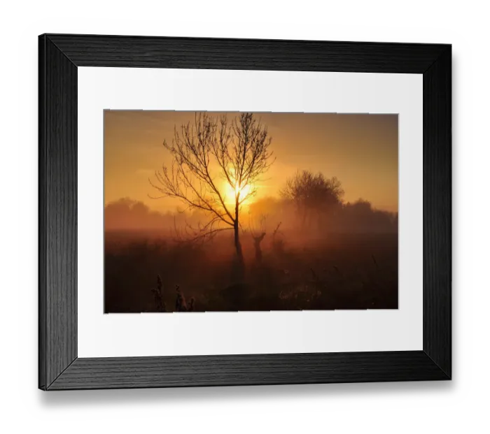 Framed Print : Golden morning Framed Print : Golden morning