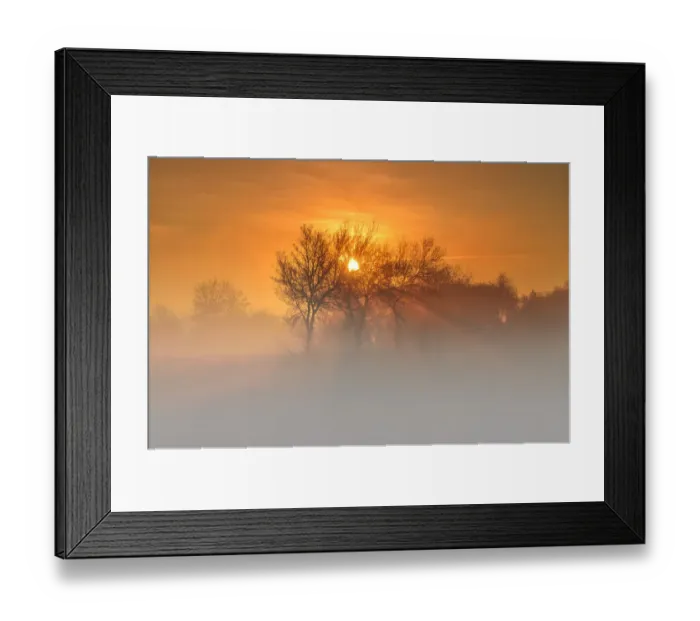 Framed Print : Morning winter Framed Print : Morning winter