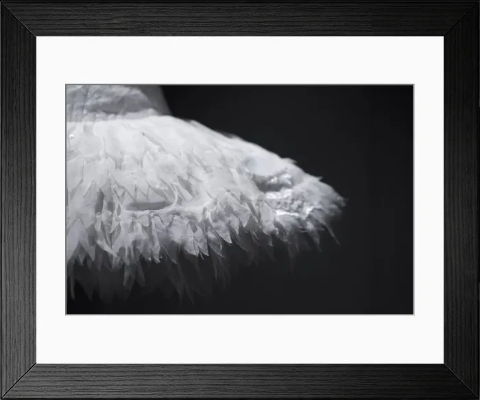 Framed Print : Ballerina dress Framed Print : Ballerina dress