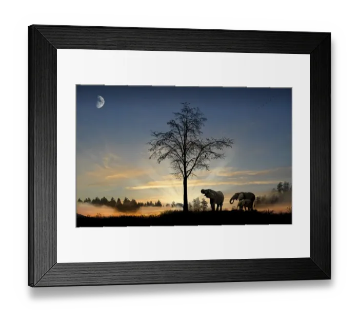 Framed Print : Rui Almeida Photography Framed Print : Rui Almeida Photography