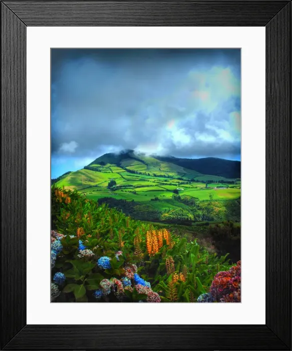 Framed Print : Rui Almeida Photography Framed Print : Rui Almeida Photography