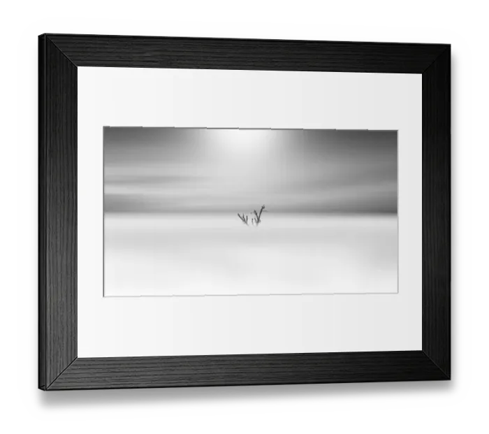 Framed Print : Minimalist submerged tree trunk Framed Print : Minimalist submerged tree trunk