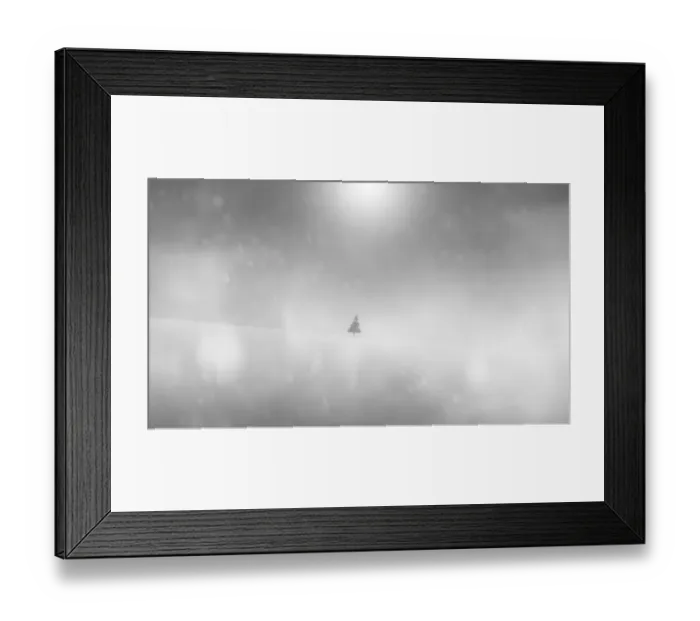 Framed Print : Isolated tree in the snow Framed Print : Isolated tree in the snow
