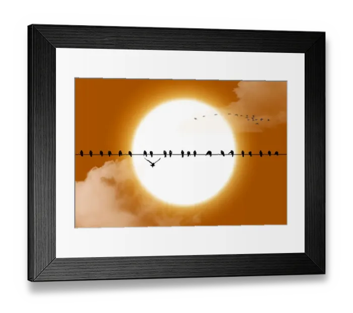 Framed Print : Big sun birds silhouette Framed Print : Big sun birds silhouette
