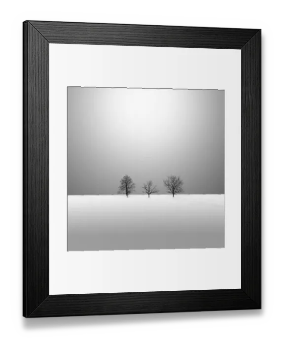 Framed Print : Winter trees Framed Print : Winter trees