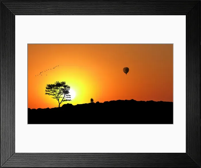 Framed Print : Silhouette of tree Framed Print : Silhouette of tree