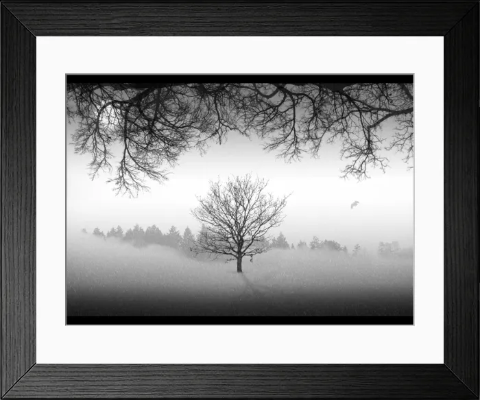 Framed Print : Winter landscape Framed Print : Winter landscape