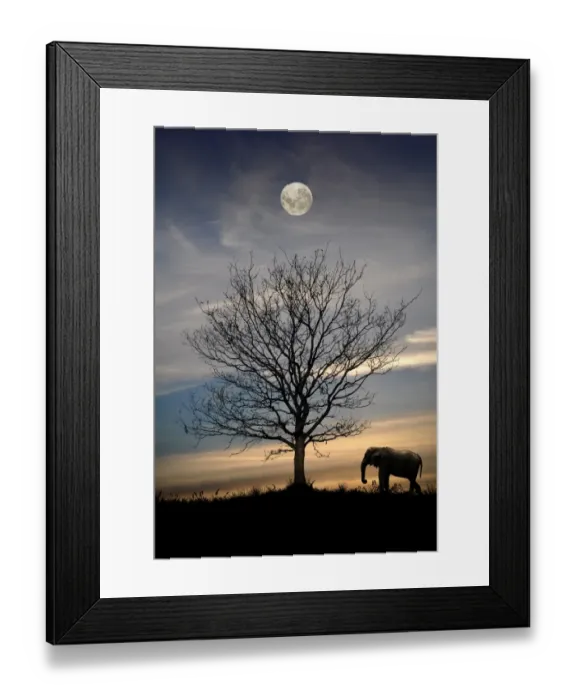 Framed Print : Elephant with tree and full moon, Portugal Framed Print : Elephant with tree and full moon, Portugal